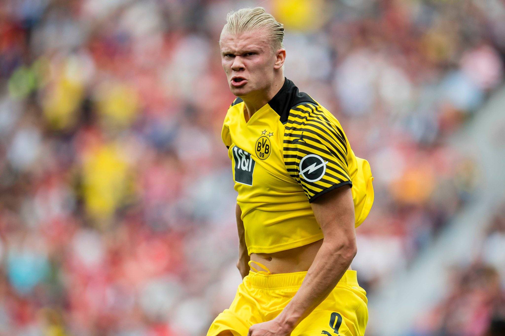 西海岸投资人：现在急需有企业参与我们的股改，减轻投资压力（西海岸投资人：亟需企业参与股改以缓解资金压力）